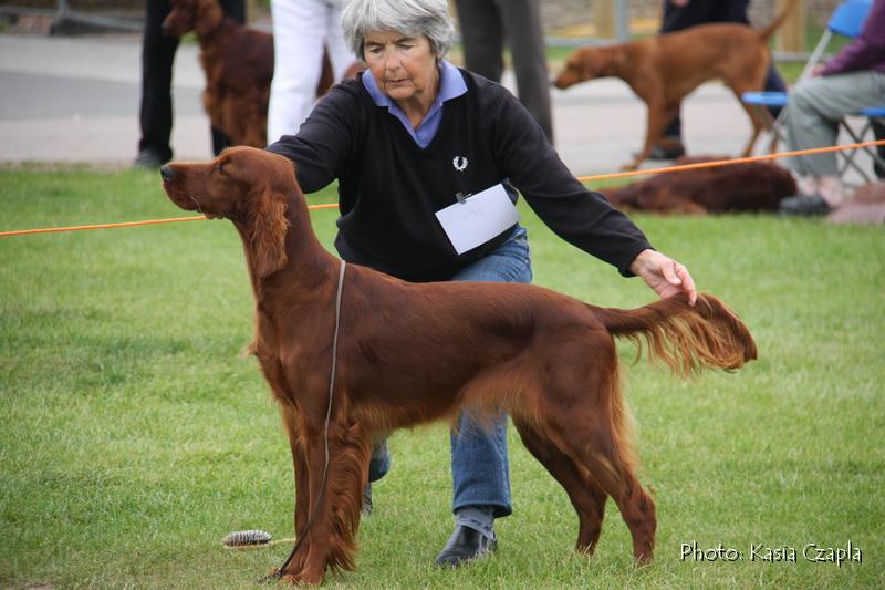 Brabrook Starstruck At Kerrydown.jpg